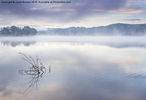 Morning Mist, Loch Ard Picture Board by Janet Burdon