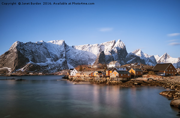 Sakrisoy village, Lofoten islands Picture Board by Janet Burdon