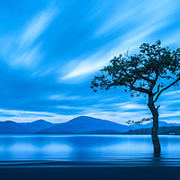 Buy canvas prints of Lone Tree, Milarrochy Bay  by Janet Burdon