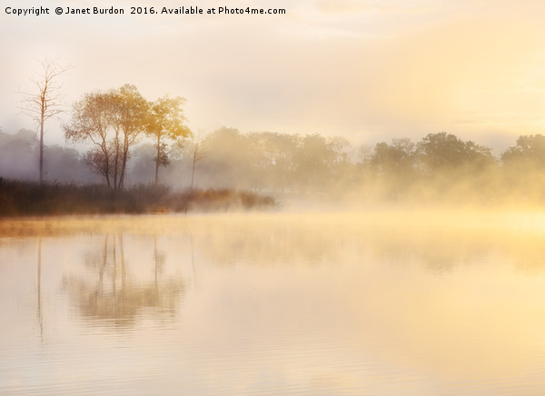 Misty Sunrise, Loch Ard Picture Board by Janet Burdon