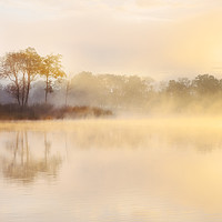 Buy canvas prints of Misty Sunrise, Loch Ard by Janet Burdon