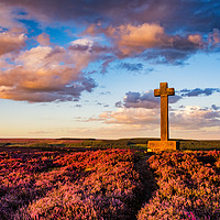 Buy canvas prints of Heather at Sunset, Ana Cross by Janet Burdon