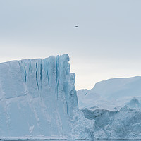 Buy canvas prints of Kangia Iceberg by Janet Burdon