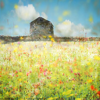 Buy canvas prints of Swaledale Meadow 1 by Janet Burdon