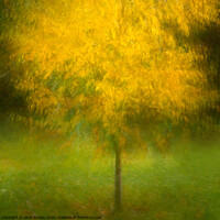 Buy canvas prints of Autumn Glory 2 by Janet Burdon