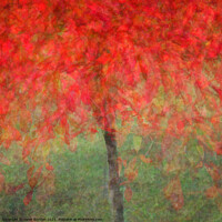 Buy canvas prints of Autumn Glory #3 by Janet Burdon