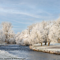 Buy canvas prints of The River Eamont in Winter by Janet Burdon