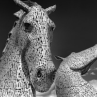 Buy canvas prints of The Kelpies Number One by Gordon Stein