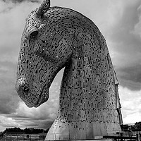 Buy canvas prints of The Kelpies Number Four by Gordon Stein