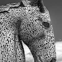 Buy canvas prints of The Kelpies Number Five by Gordon Stein