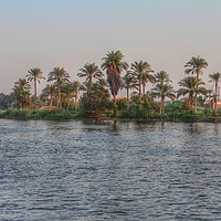 Buy canvas prints of Life On The Nile by Gordon Stein