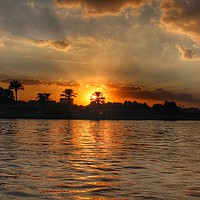 Buy canvas prints of Sunset on Giza by Gordon Stein
