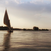 Buy canvas prints of Felucca at Dusk; Chapter 3 by Gordon Stein