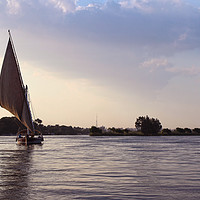 Buy canvas prints of Nile Cruise by Gordon Stein