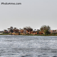 Buy canvas prints of The Nile Revisited by Gordon Stein