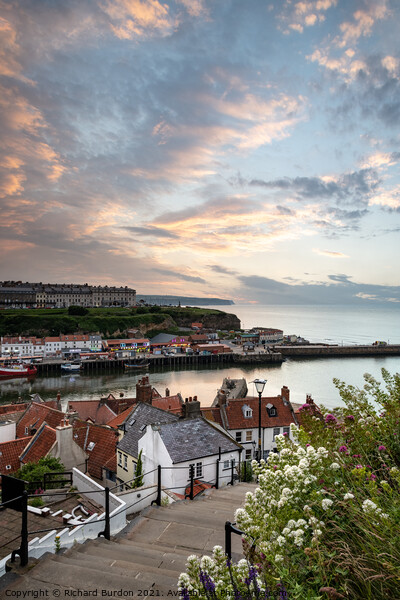 Whitby Steps At Sunset Picture Board by Richard Burdon