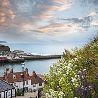 Buy canvas prints of Whitby Steps At Sunset #2 by Richard Burdon