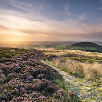 Buy canvas prints of Heather at Sunset Above Swainby by Richard Burdon