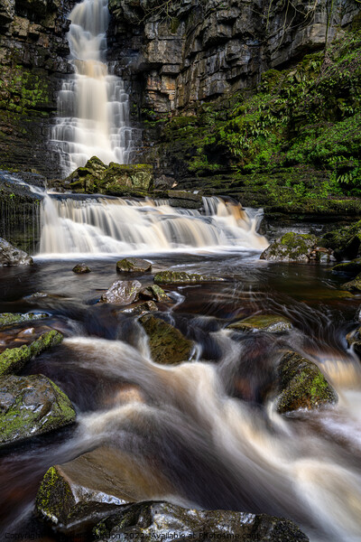 Mill Gill Force, Near Askrigg Picture Board by Richard Burdon