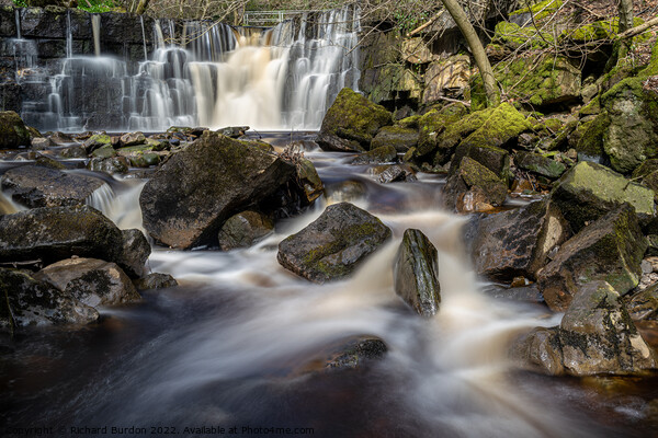 Whitfield Gill Force Picture Board by Richard Burdon