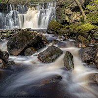 Buy canvas prints of Whitfield Gill Force by Richard Burdon