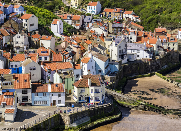 Staithes Village From Penny Nab Picture Board by Richard Burdon
