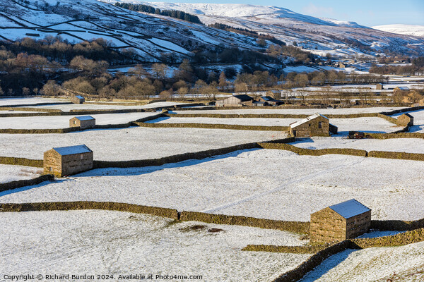 The Barns at Gunnerside in Swaledale on a bright, snowy winter's Picture Board by Richard Burdon