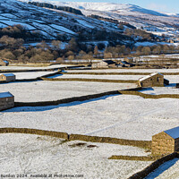 Buy canvas prints of The Barns at Gunnerside in Swaledale on a bright, snowy winter's by Richard Burdon