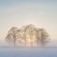 Buy canvas prints of  Winter Sunset by Richard Burdon