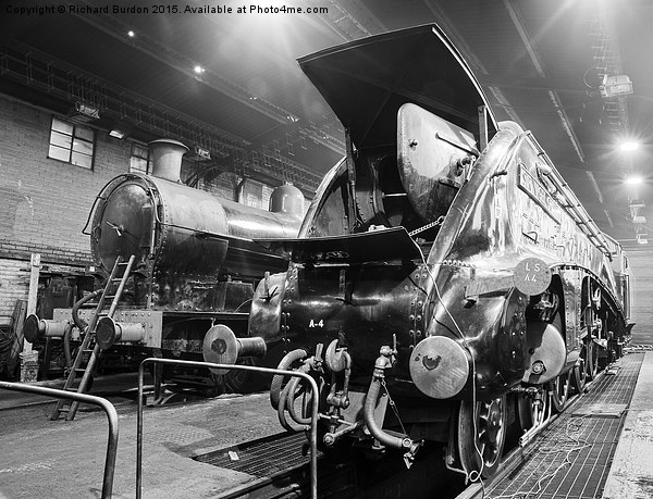 Sir Nigel Gresley In The Engine Shed At Grosmont Picture Board by Richard Burdon
