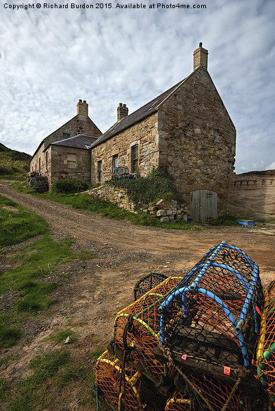 Fishermen's Cottages at Cove Picture Board by Richard Burdon