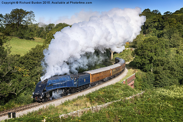  Farewell Sir Nigel Gresley Picture Board by Richard Burdon