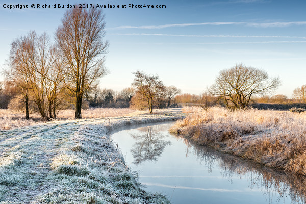 Frosty Morning at Costa Beck Picture Board by Richard Burdon