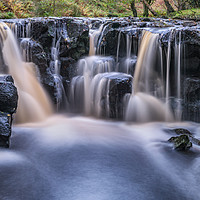 Buy canvas prints of Nelly Ayre Foss in Autumn by Richard Burdon