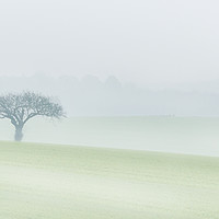 Buy canvas prints of Kingthorpe in the Mist by Richard Burdon