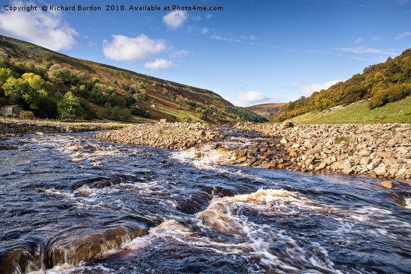 The River Swale in Autumn Picture Board by Richard Burdon