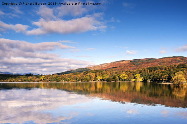 Autumn Colour on the banks of Loch Lomond Picture Board by Richard Burdon