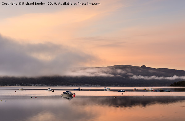Misty Sunrise Over Loch Fyne Picture Board by Richard Burdon