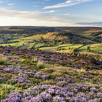 Buy canvas prints of Rosedale from Chimney Bank by Richard Burdon
