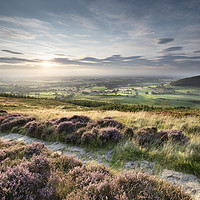 Buy canvas prints of Heather at Sunset, Swainby by Richard Burdon