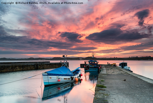 Sunset at Beadnel harbour Picture Board by Richard Burdon