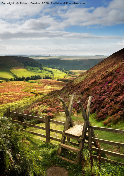 The Path to Low Horcum Picture Board by Richard Burdon