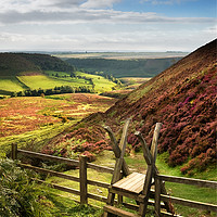 Buy canvas prints of The Path to Low Horcum by Richard Burdon
