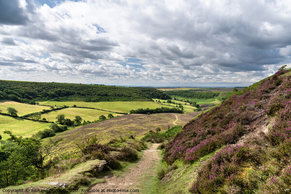 The Path to Low Horcum Picture Board by Richard Burdon