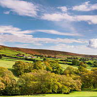 Buy canvas prints of Bransdale In Autumn by Richard Burdon