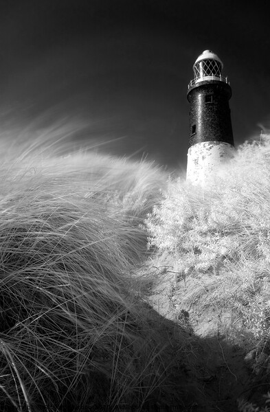 Spurn Lighthouse Picture Board by Richard Burdon