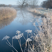 Buy canvas prints of A Frosty Morning at Costa Beck by Richard Burdon