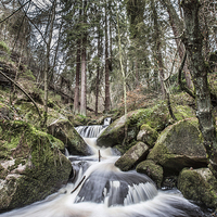 Buy canvas prints of  Wyming Brook by Lee Wright