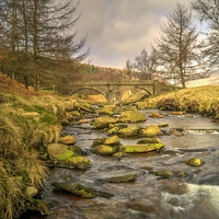 Buy canvas prints of  River Derwent by Tony Clement