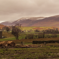 Buy canvas prints of  Lake District Farm Land by Tony Clement